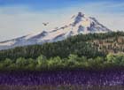 Mt. Hood Lavender Field in Woil or Oil 12x16